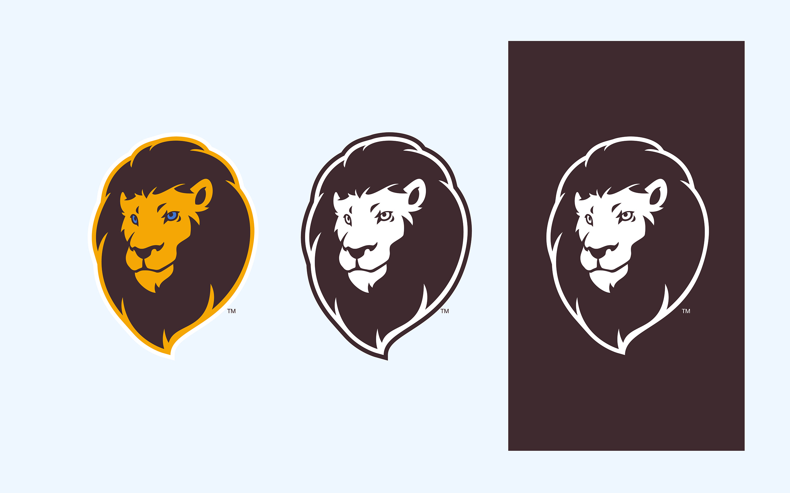 Primary logo variations